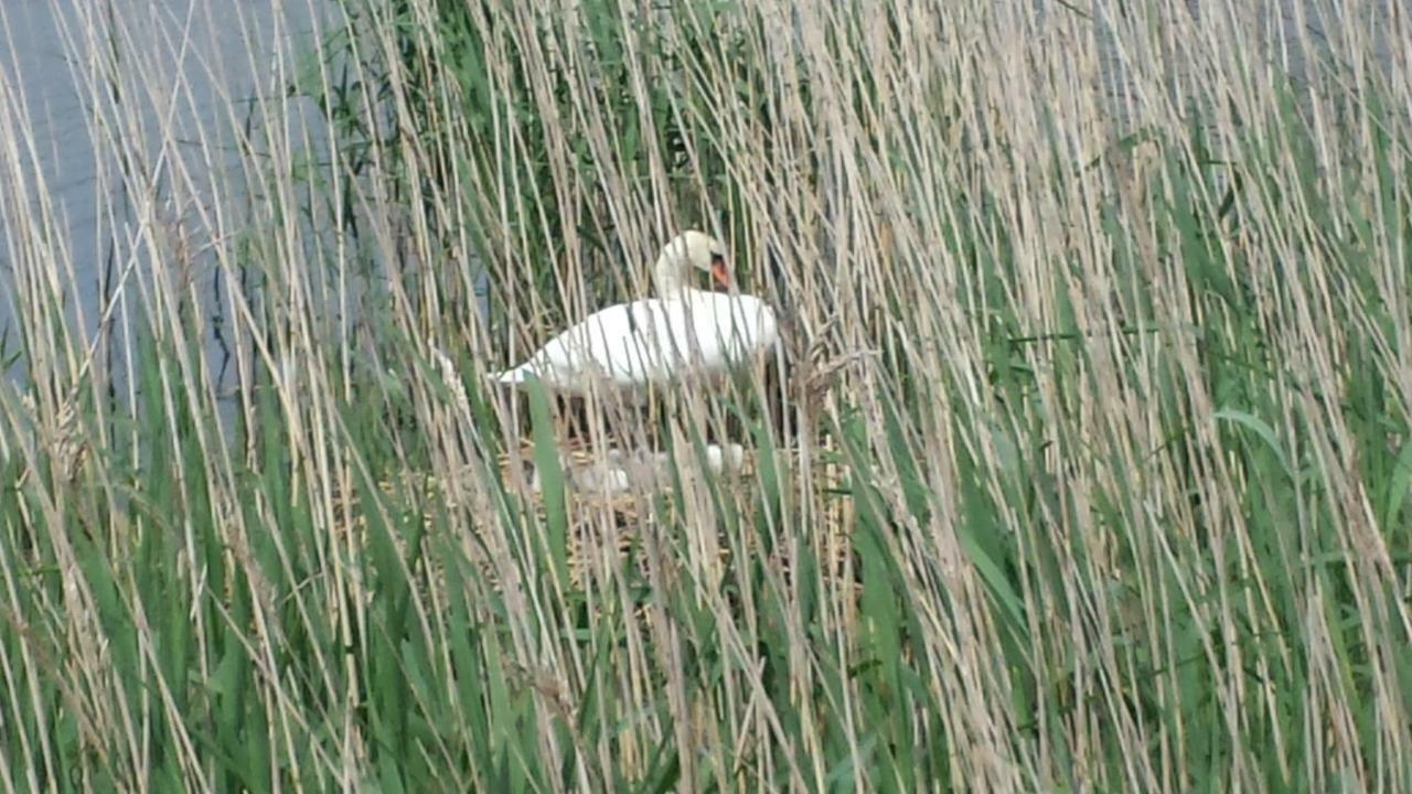 فندق Lake View, روسكاربيري المظهر الخارجي الصورة